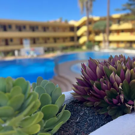 Vacaciones En Los Cristianos - Torres Del Sol 503 Playa Las Vistas * Los Cristianos (Tenerife)